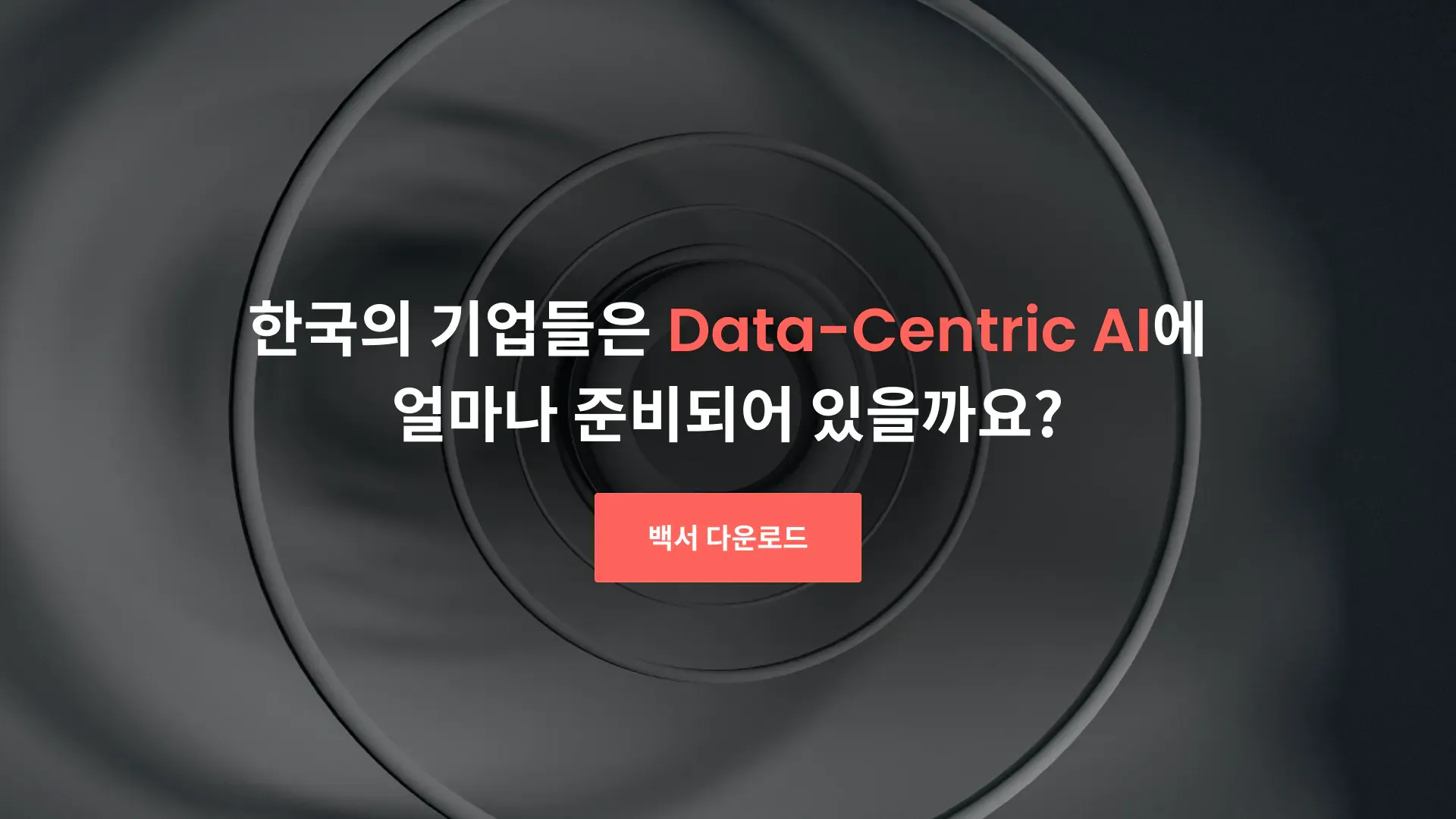 한국의 기업들은 Data-Centric AI에 얼마나 준비되어 있을까요?
