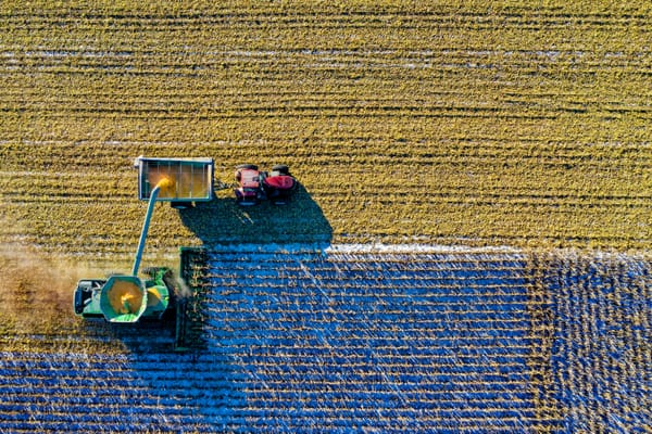 농업과 AI: 식량 부족 문제를 해결하기 위한 변화